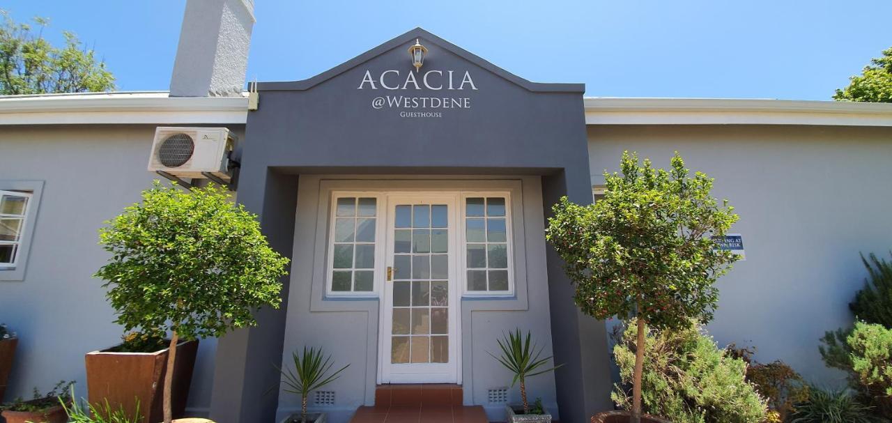 Acacia Westdene B&B 블룸폰테인 외부 사진
